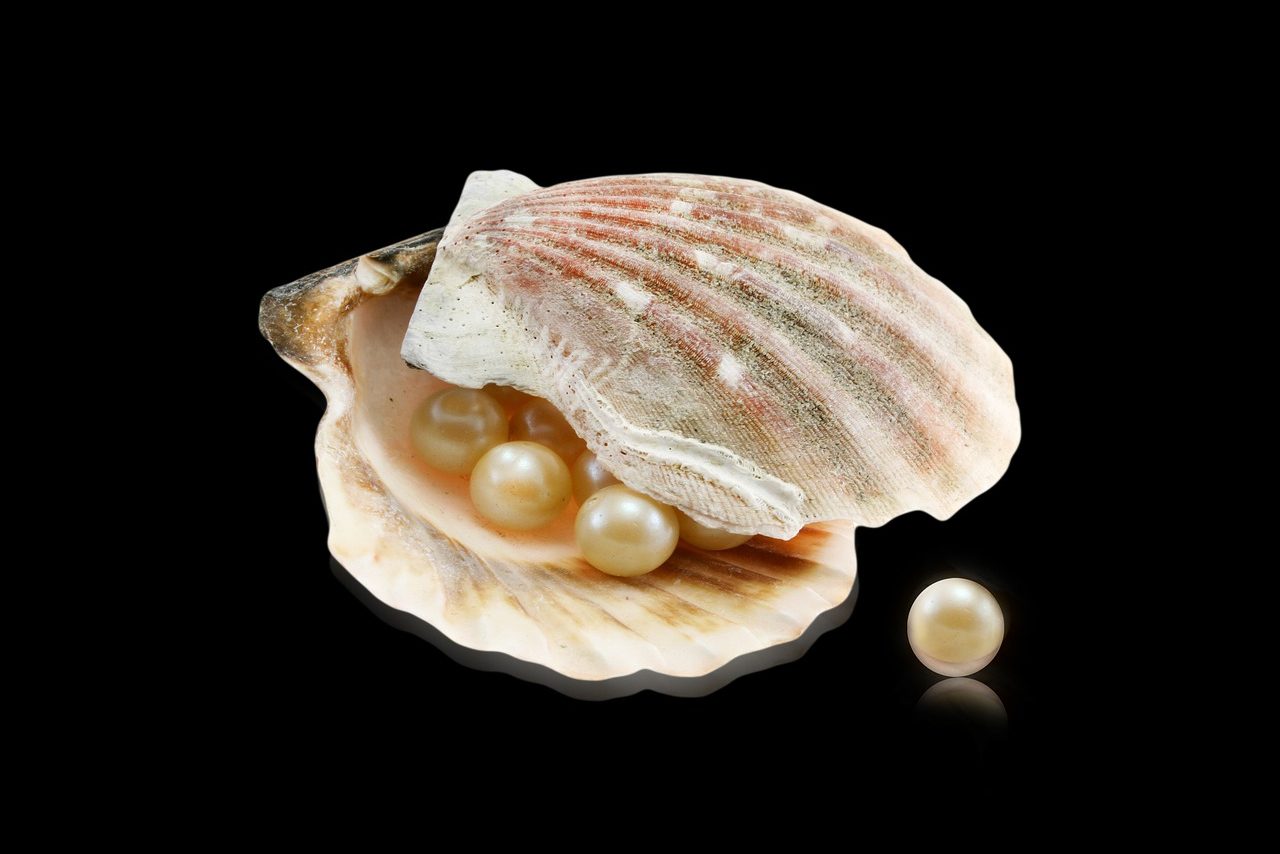 真珠のイメージ画像