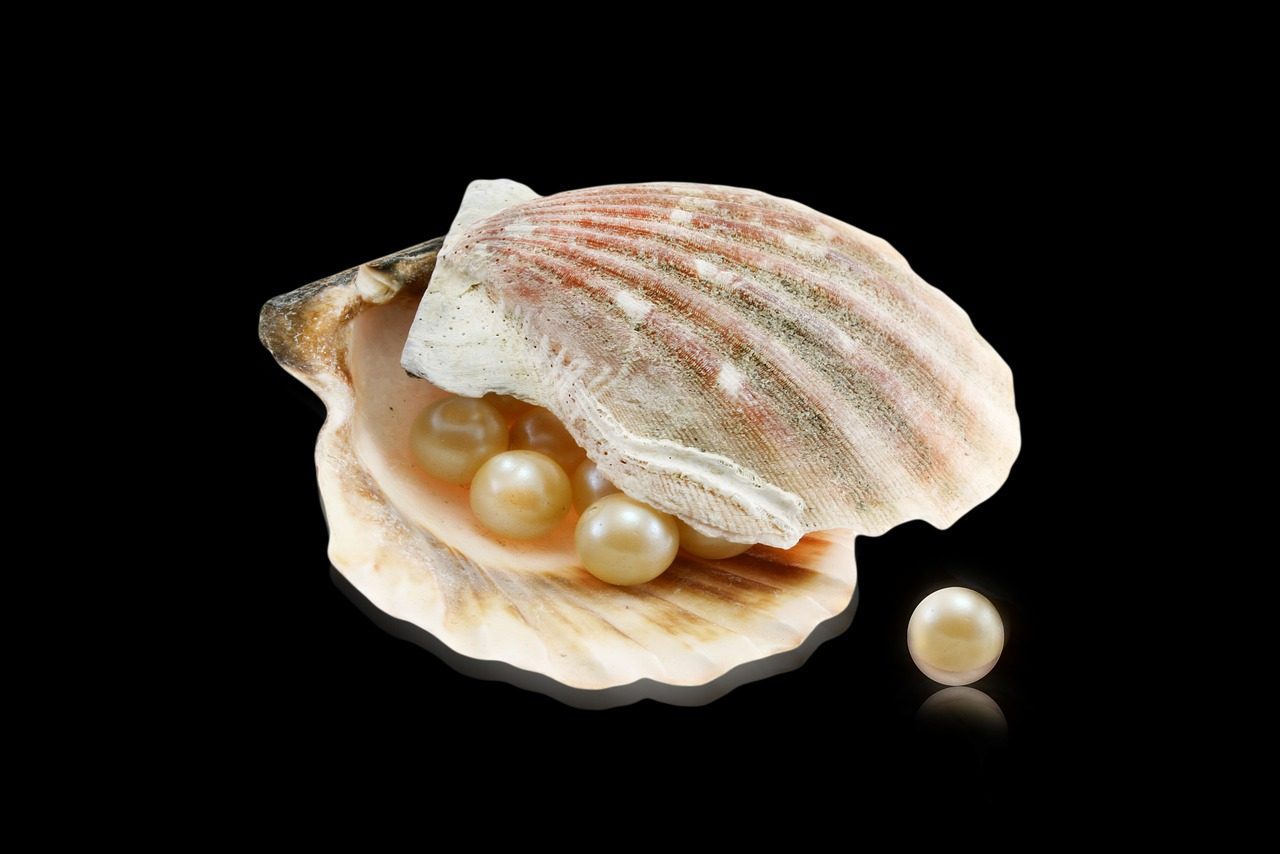 真珠のイメージ画像